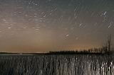 Star Trails_22394-5